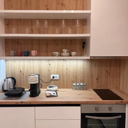 Aleksic Apartment *