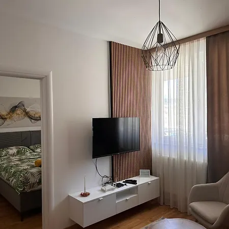 Aleksic Apartment
